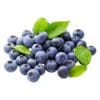 Bluberry – ব্লুবেরী