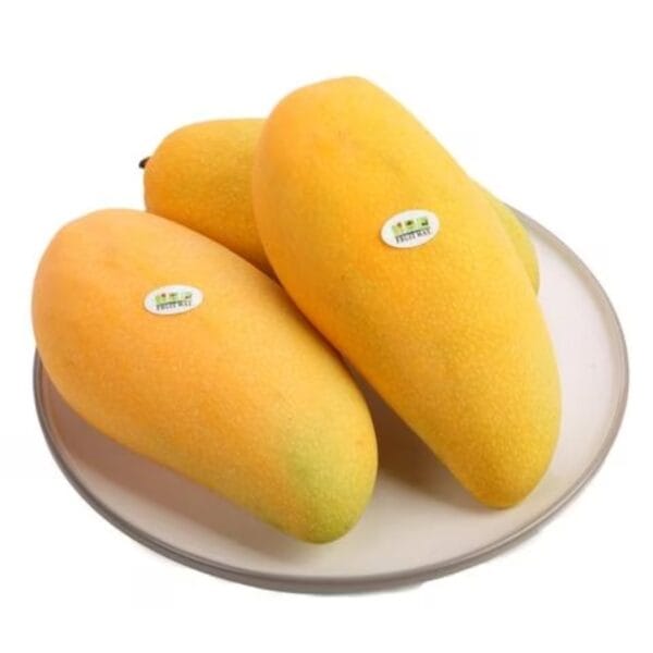 Chinese Mango