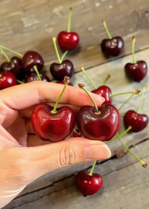 Cherry f.m photo 1