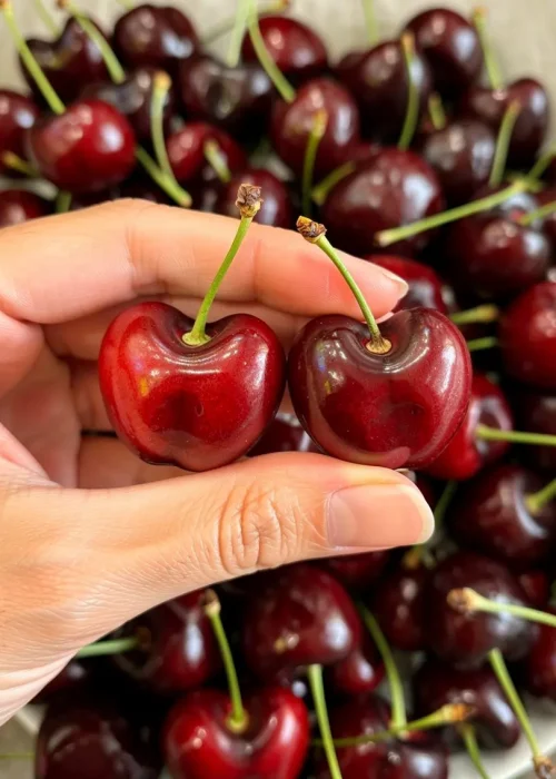 Cherry f.m photo 3